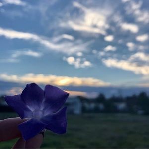 Meet your Posher, Winter